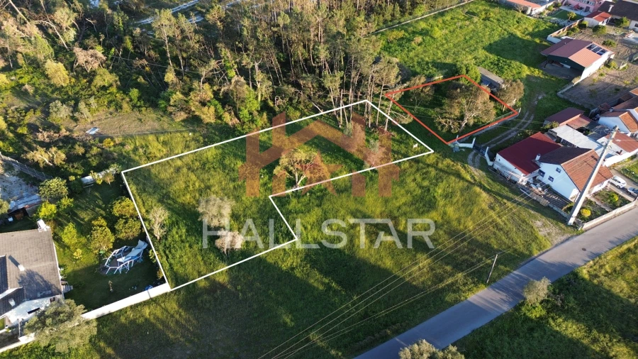 Terreno para Venda em Monte Redondo e Carreira Foto 2