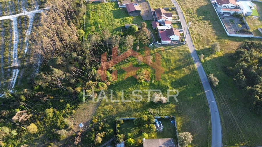 Terreno para Venda em Monte Redondo e Carreira Foto 10