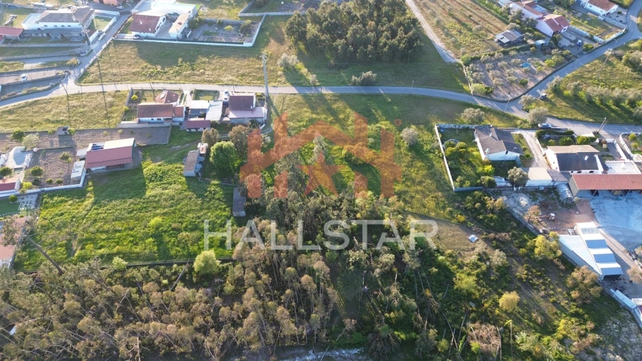 Terreno para Venda em Monte Redondo e Carreira Foto 21