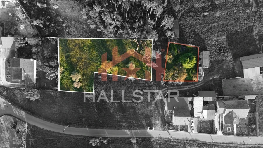 Terreno para Venda em Monte Redondo e Carreira Foto 6