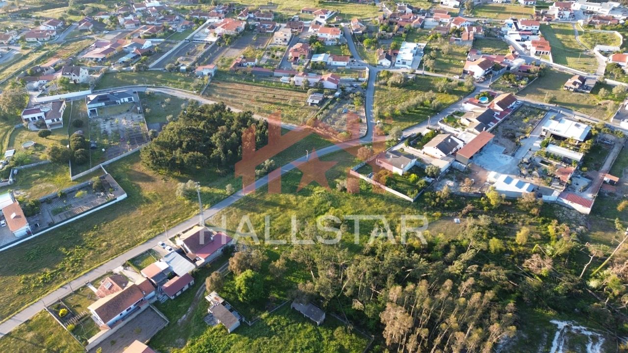 Terreno para Venda em Monte Redondo e Carreira Foto 13