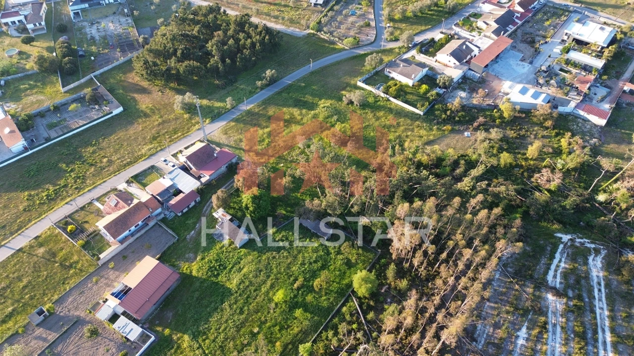Terreno para Venda em Monte Redondo e Carreira Foto 12
