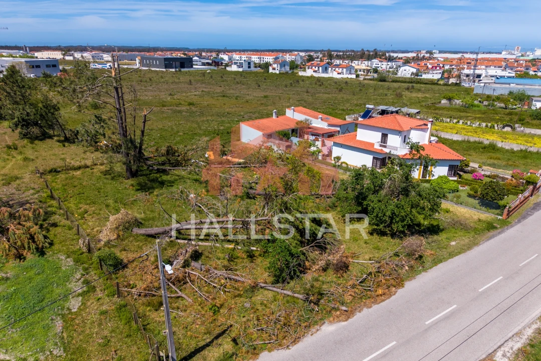 Terreno para Venda em Marinha Grande Foto 14