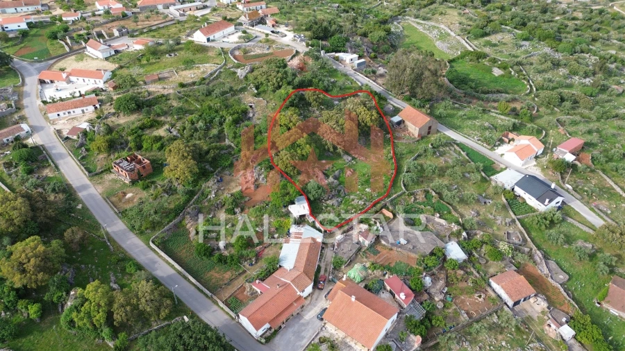 Terreno para Venda em São Bento Foto 19
