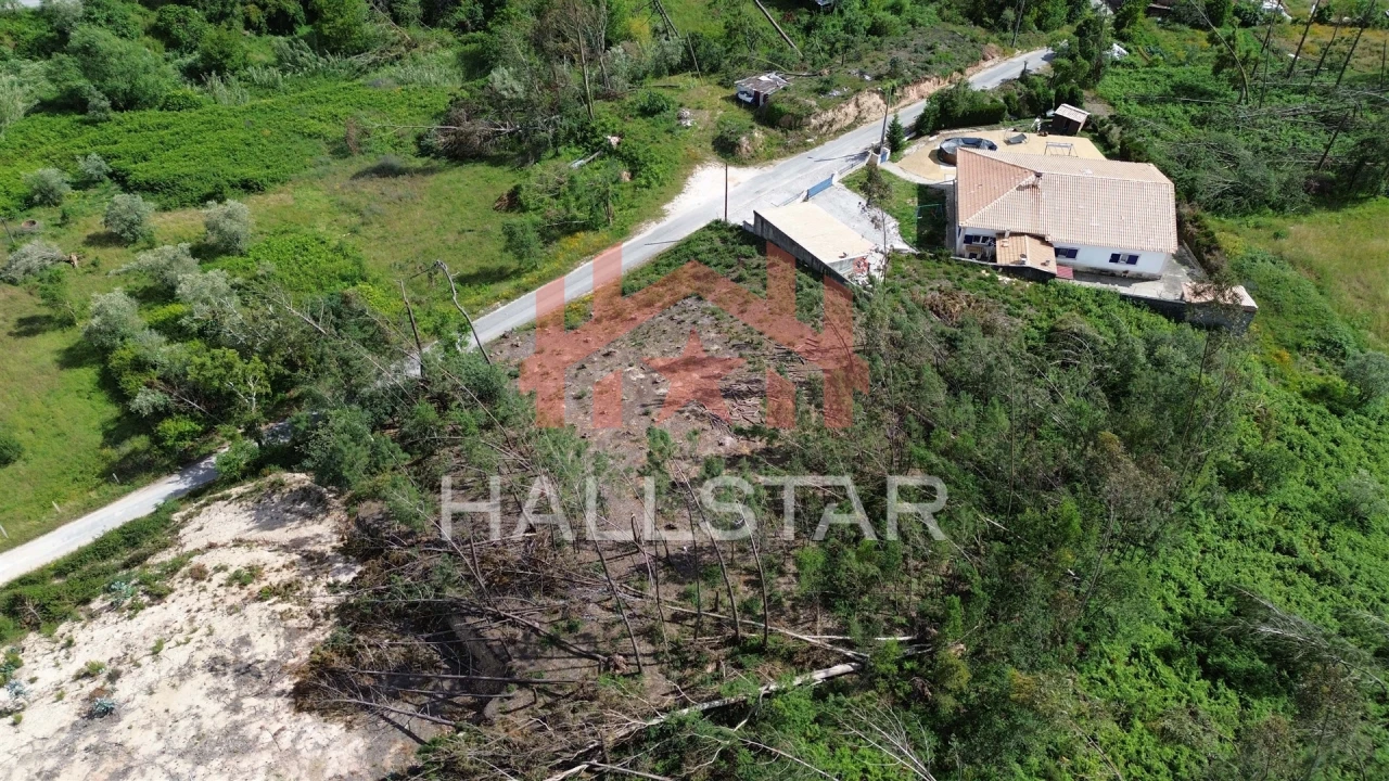 Terreno para Venda em Colmeias e Memória Foto 11