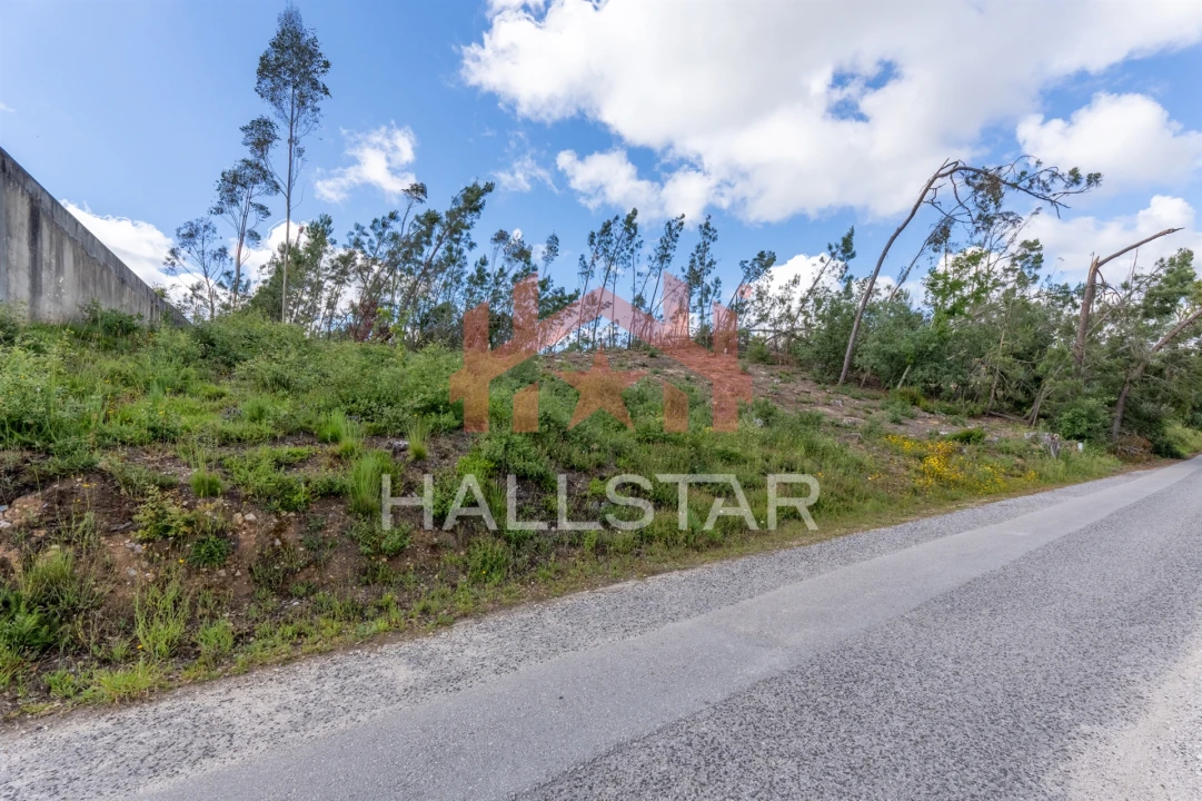Terreno para Venda em Colmeias e Memória Foto 18