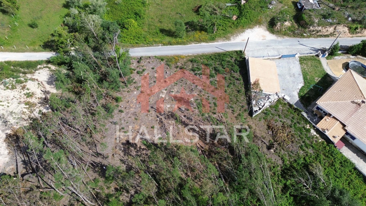 Terreno para Venda em Colmeias e Memória Foto 13