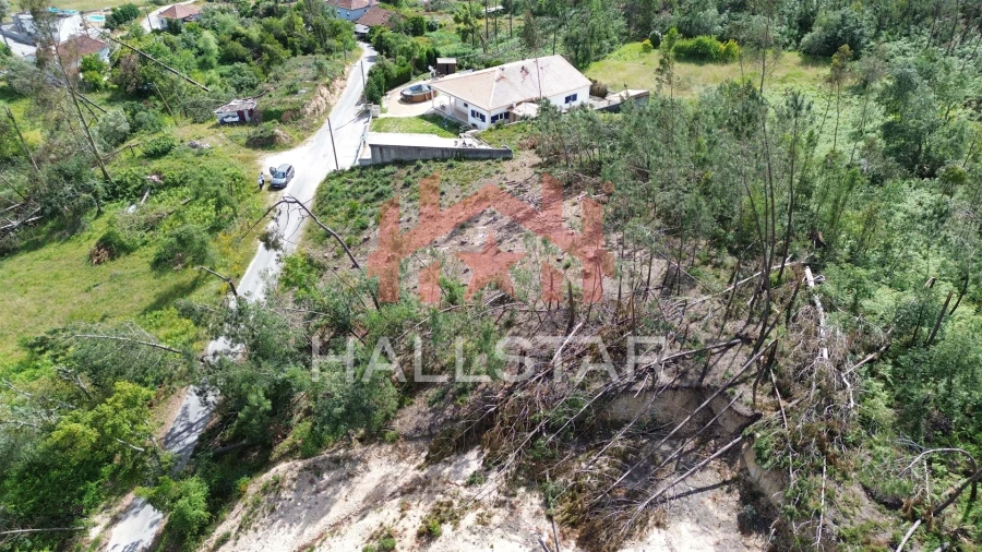 Terreno para Venda em Colmeias e Memória Foto 9