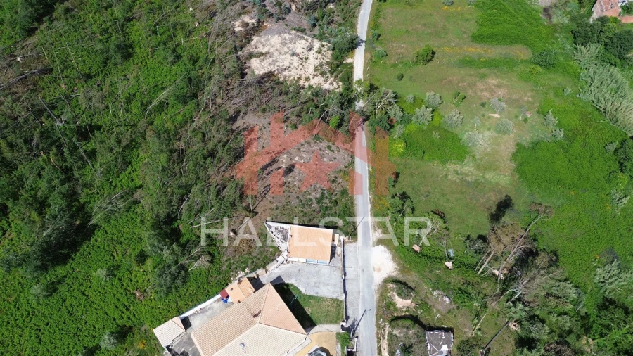 Terreno para Venda em Colmeias e Memória Foto 5