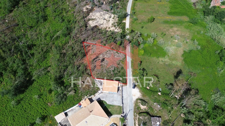 Terreno para Venda em Colmeias e Memória Foto 4