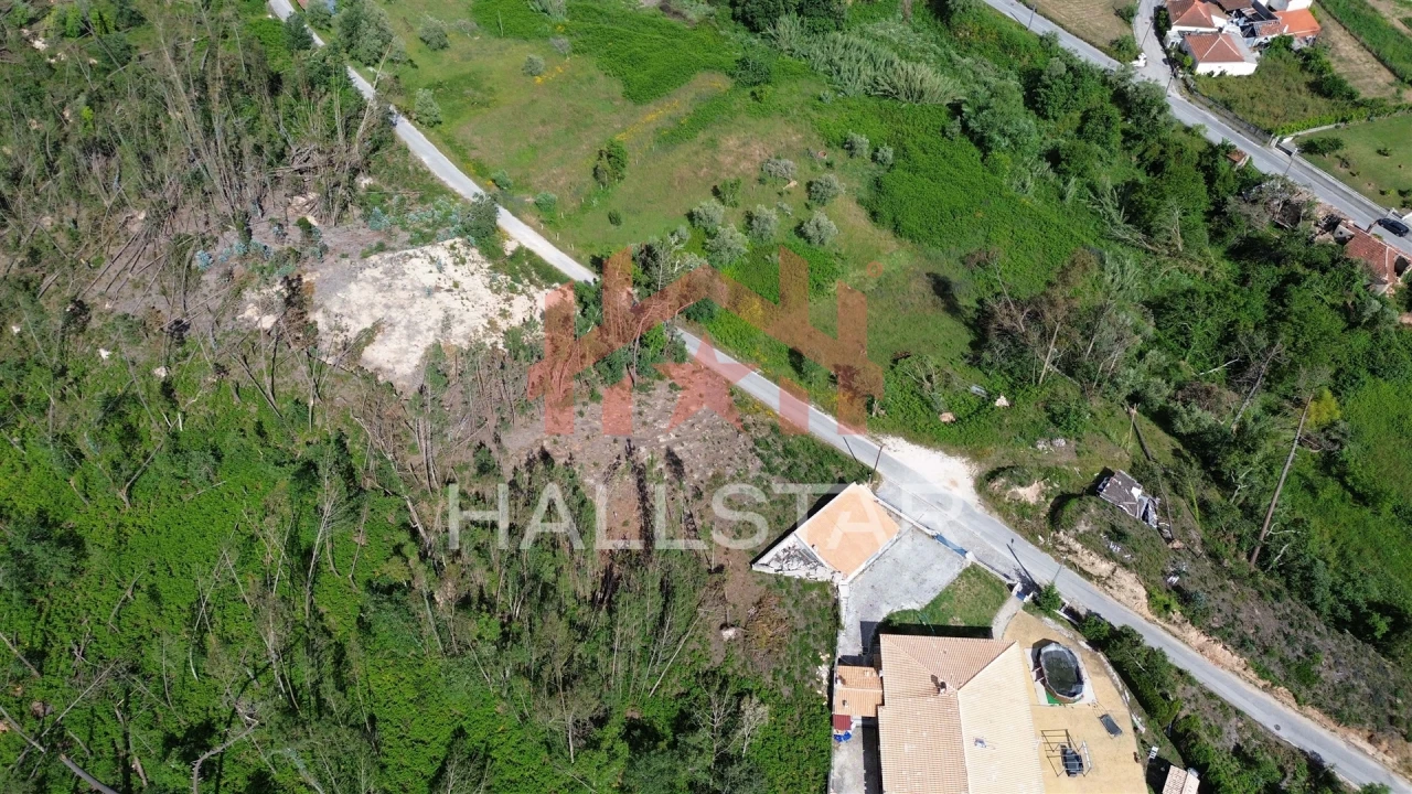 Terreno para Venda em Colmeias e Memória Foto 17