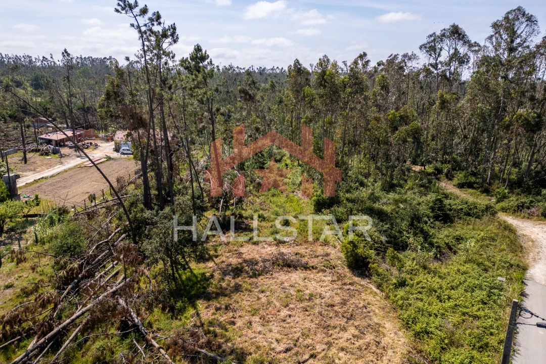 Terreno para Venda em Maceira Foto 10