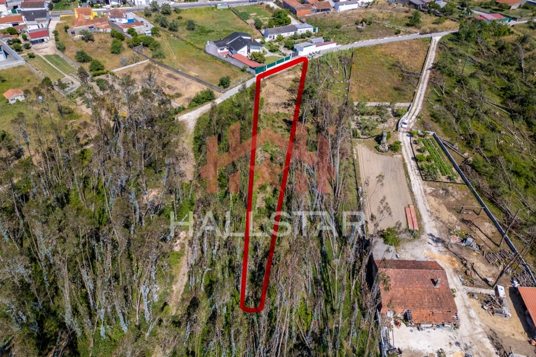 Terreno para Venda em Maceira Foto 4