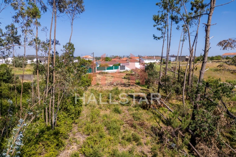 Terreno para Venda em Maceira Foto 12