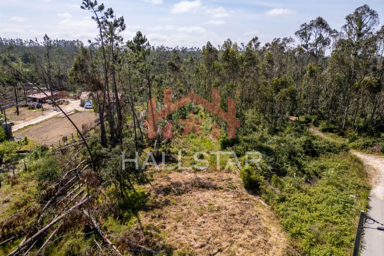 Terreno para Venda em Maceira Foto 10