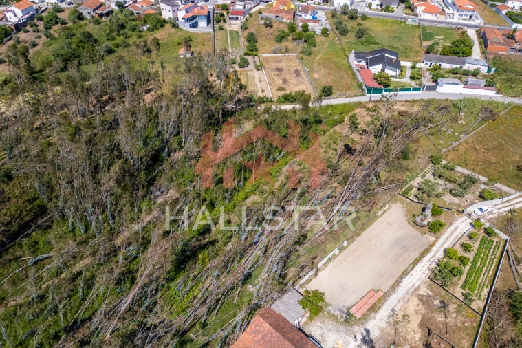 Terreno para Venda em Maceira Foto 6