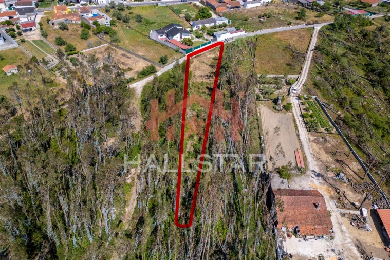 Terreno para Venda em Maceira Foto 4