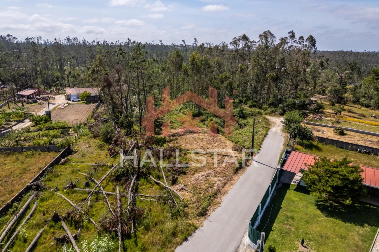 Terreno para Venda em Maceira Foto 9
