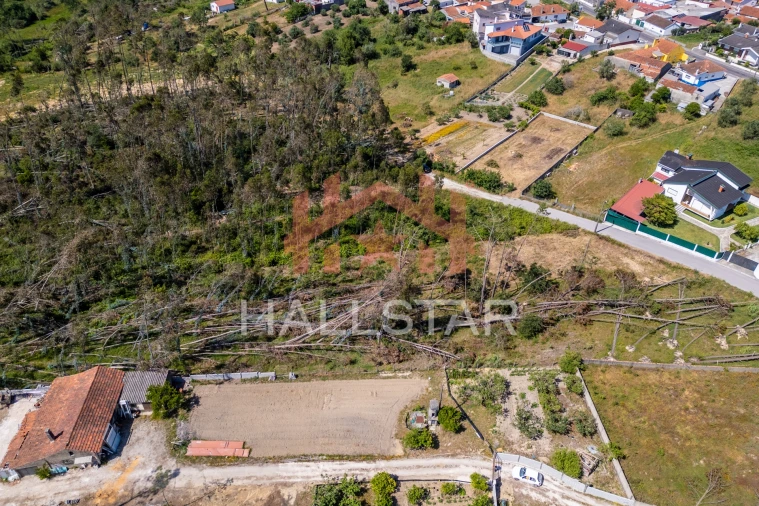 Terreno para Venda em Maceira Foto 7