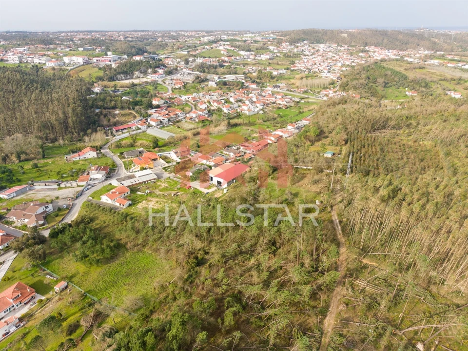 Terreno para Venda em Maceira Foto 11