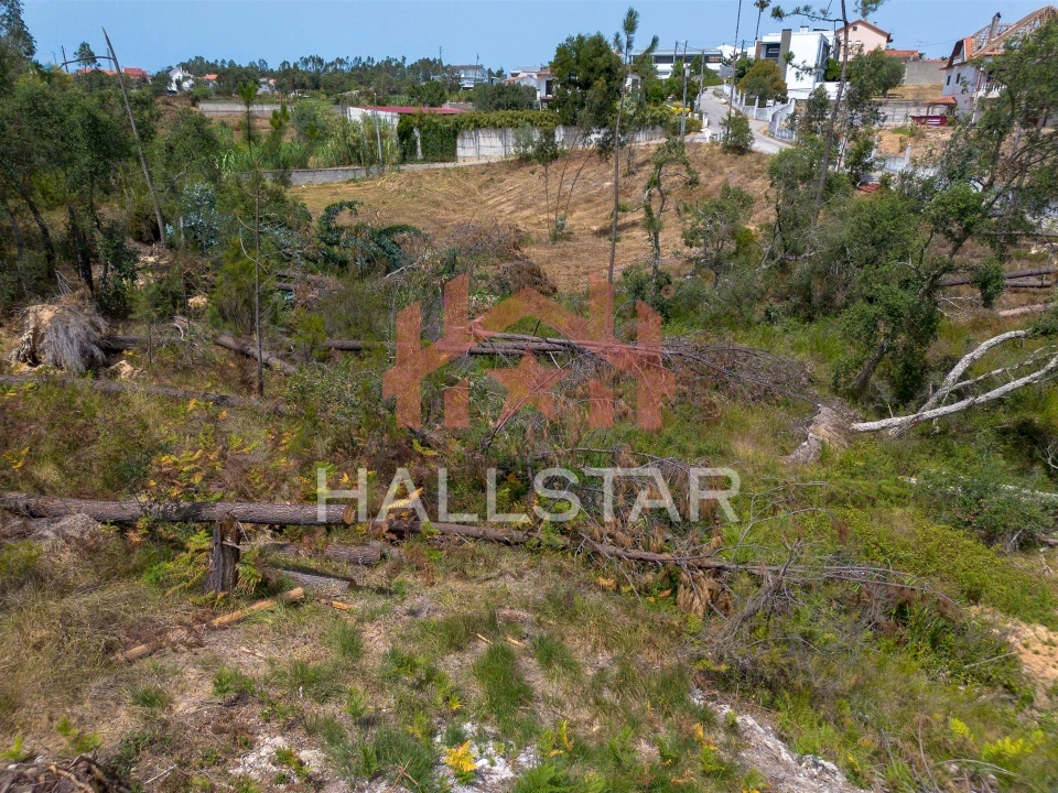 Terreno para Venda em Marrazes e Barosa Foto 12