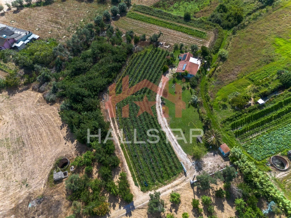 Terreno para Venda em Souto da Carpalhosa e Ortigosa Foto 2