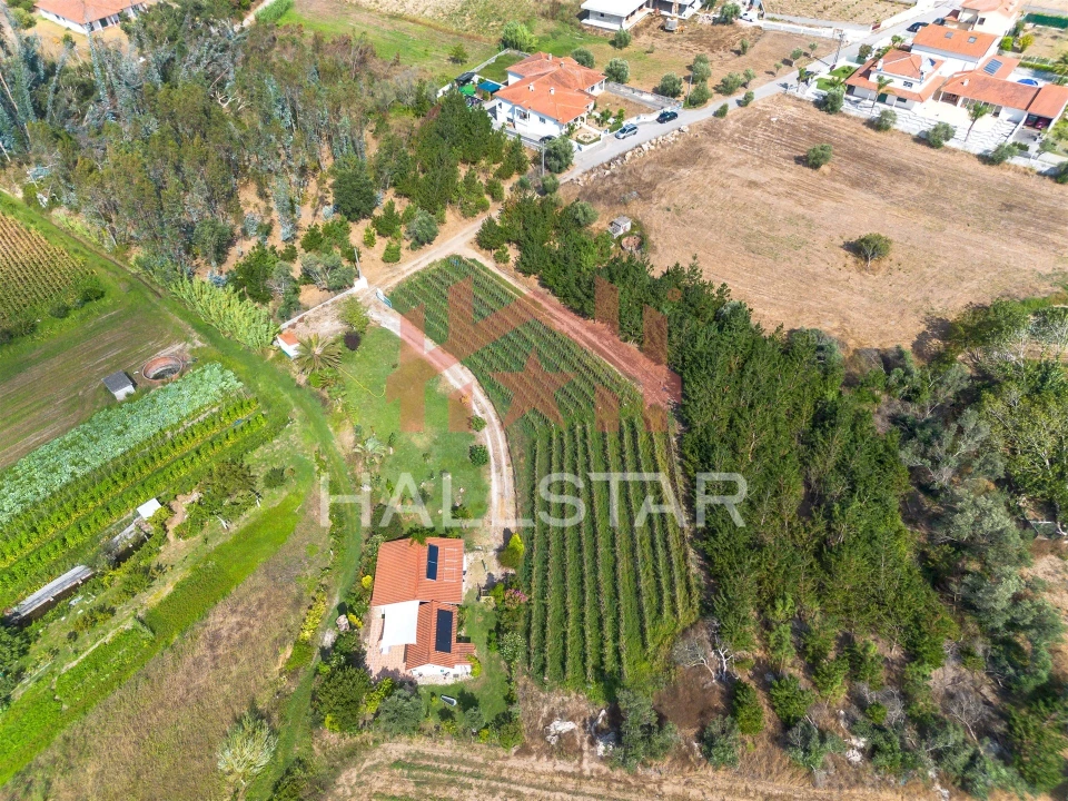 Terreno para Venda em Souto da Carpalhosa e Ortigosa Foto 10