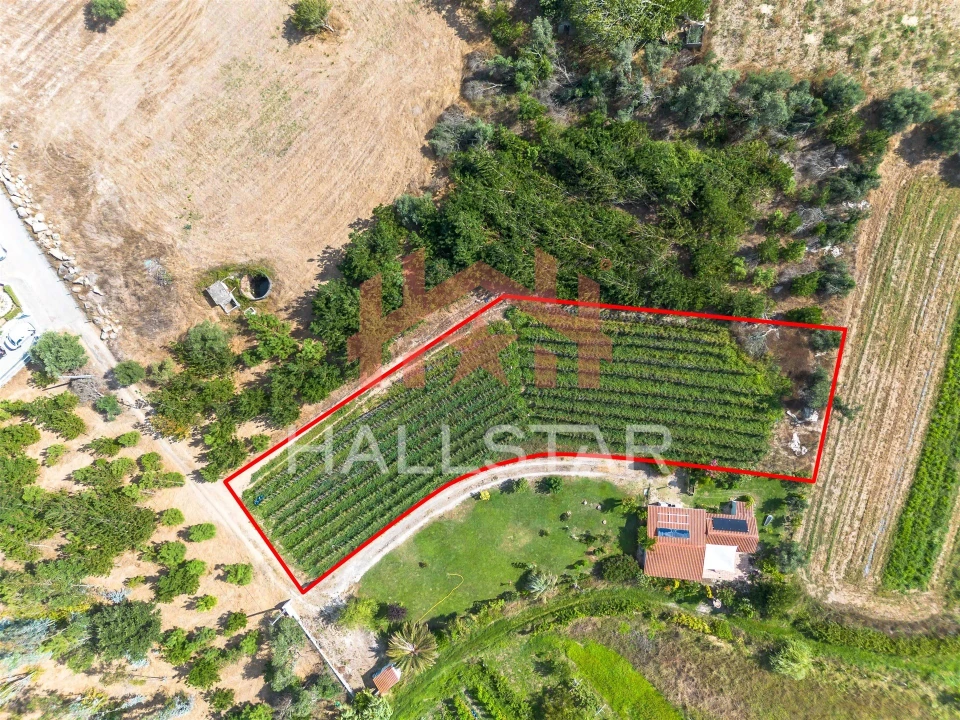 Terreno para Venda em Souto da Carpalhosa e Ortigosa Foto 9