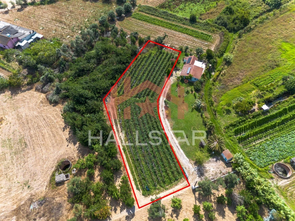 Terreno para Venda em Souto da Carpalhosa e Ortigosa Foto 1