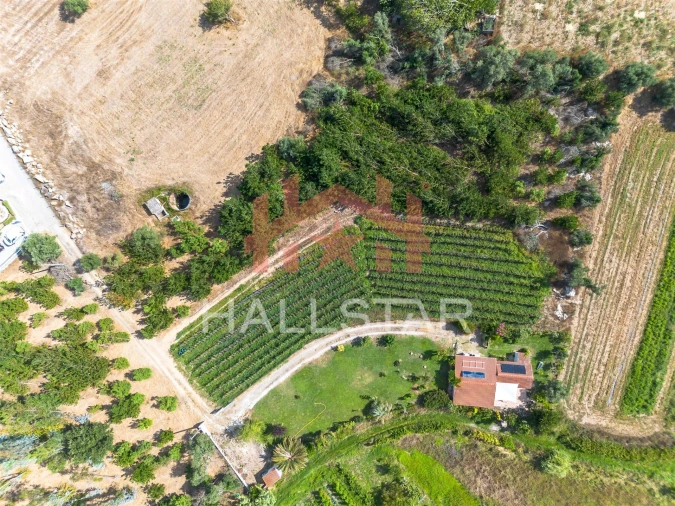 Terreno para Venda em Souto da Carpalhosa e Ortigosa Foto 8