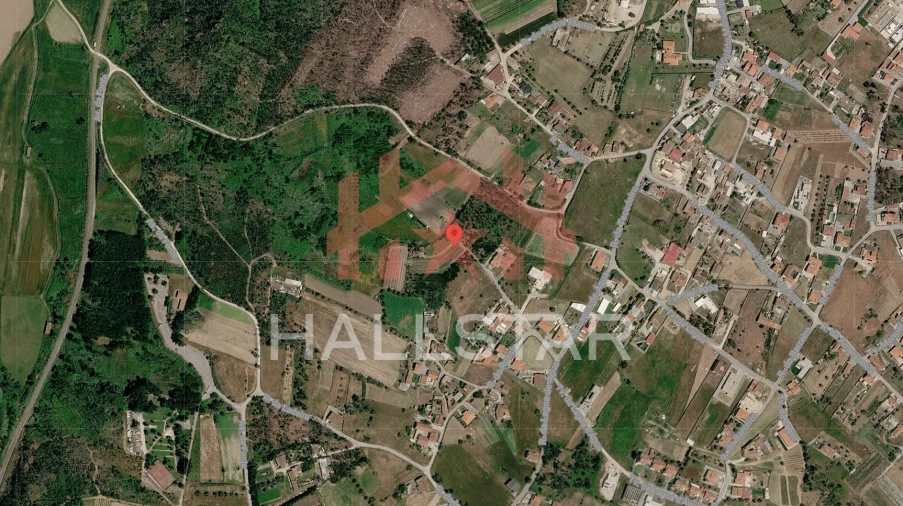 Terreno para Venda em Souto da Carpalhosa e Ortigosa Planta 1