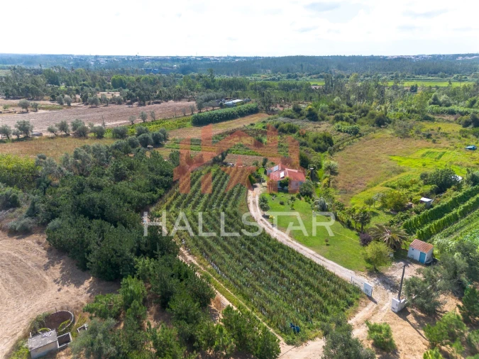 Terreno para Venda em Souto da Carpalhosa e Ortigosa Foto 13