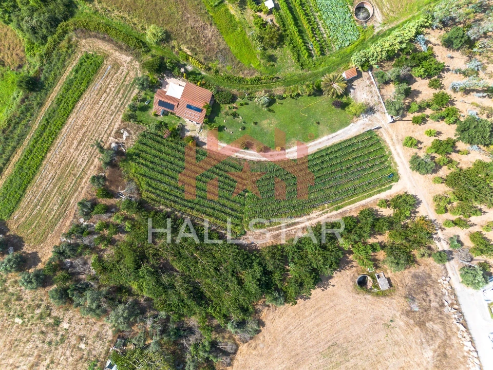 Terreno para Venda em Souto da Carpalhosa e Ortigosa Foto 4