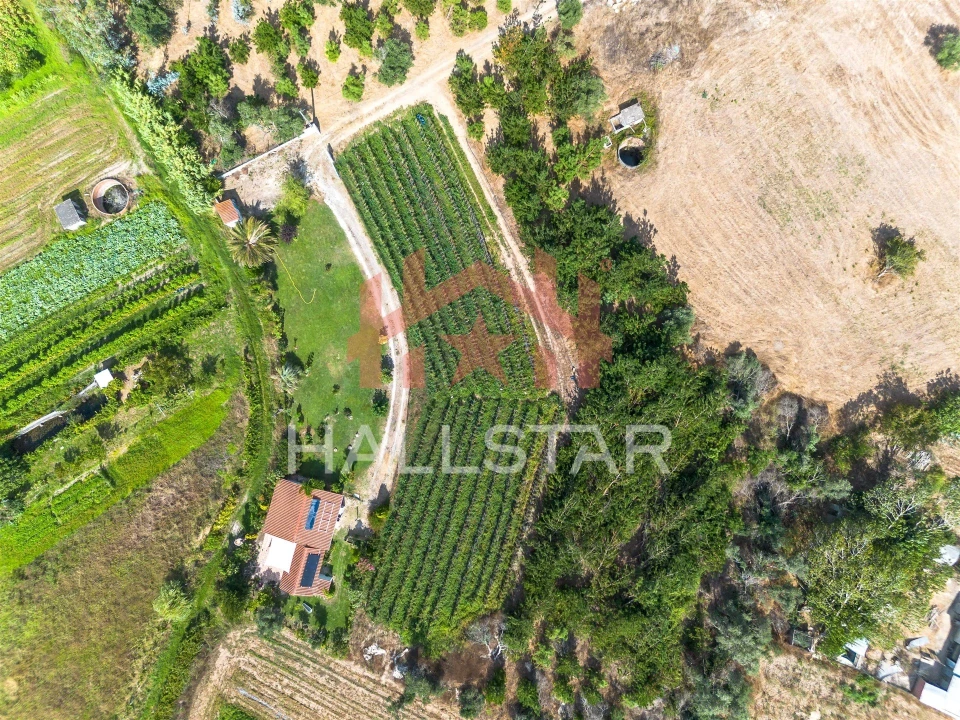 Terreno para Venda em Souto da Carpalhosa e Ortigosa Foto 6