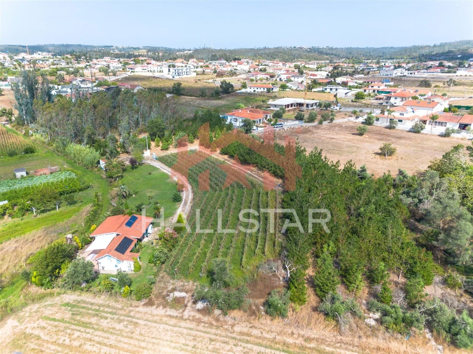 Terreno para Venda em Souto da Carpalhosa e Ortigosa Foto 12