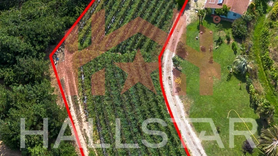 Terreno para Venda em Souto da Carpalhosa e Ortigosa