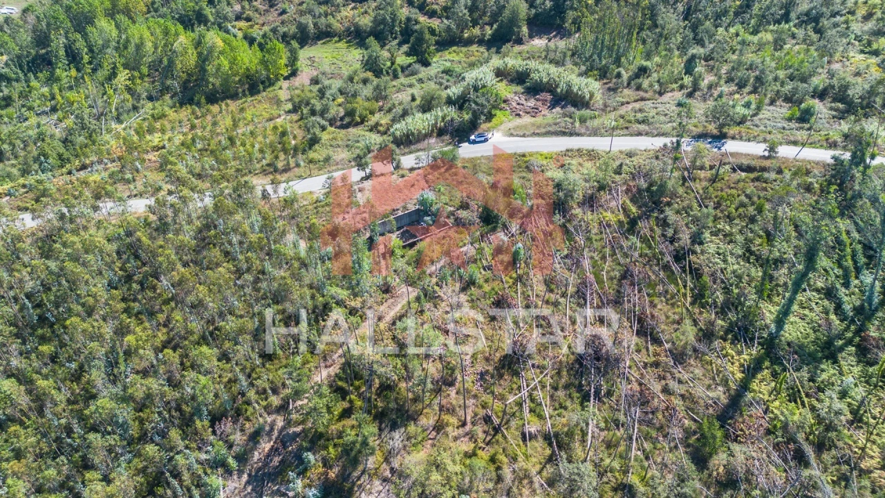 Terreno para Venda em Souto da Carpalhosa e Ortigosa Foto 18