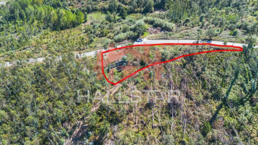 Terreno para Venda em Souto da Carpalhosa e Ortigosa Foto 7
