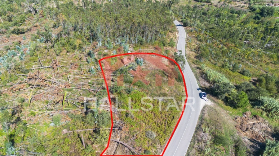 Terreno para Venda em Souto da Carpalhosa e Ortigosa Foto 5