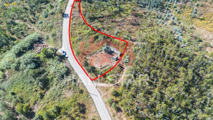 Terreno para Venda em Souto da Carpalhosa e Ortigosa Foto 10