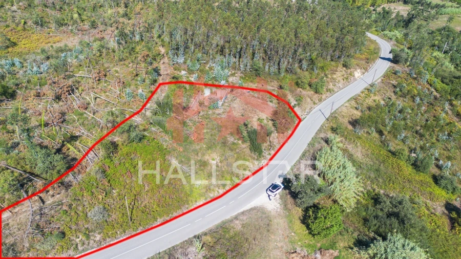 Terreno para Venda em Souto da Carpalhosa e Ortigosa Foto 4