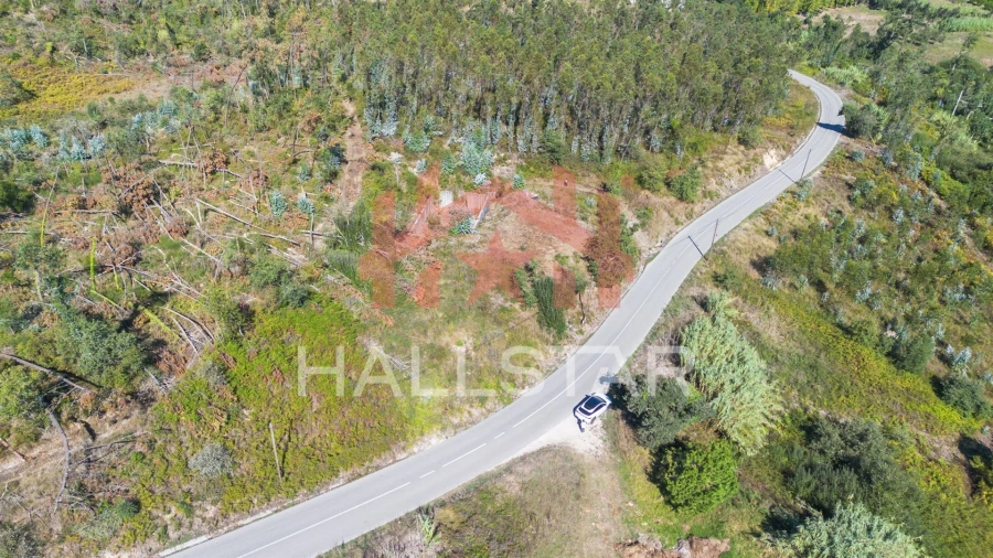 Terreno para Venda em Souto da Carpalhosa e Ortigosa Foto 14