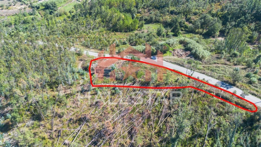 Terreno para Venda em Souto da Carpalhosa e Ortigosa Foto 9