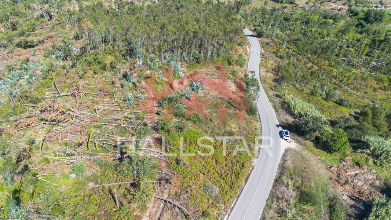 Terreno para Venda em Souto da Carpalhosa e Ortigosa Foto 15