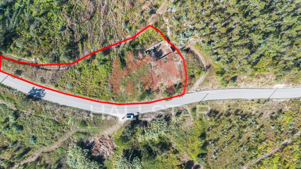 Terreno para Venda em Souto da Carpalhosa e Ortigosa Foto 12