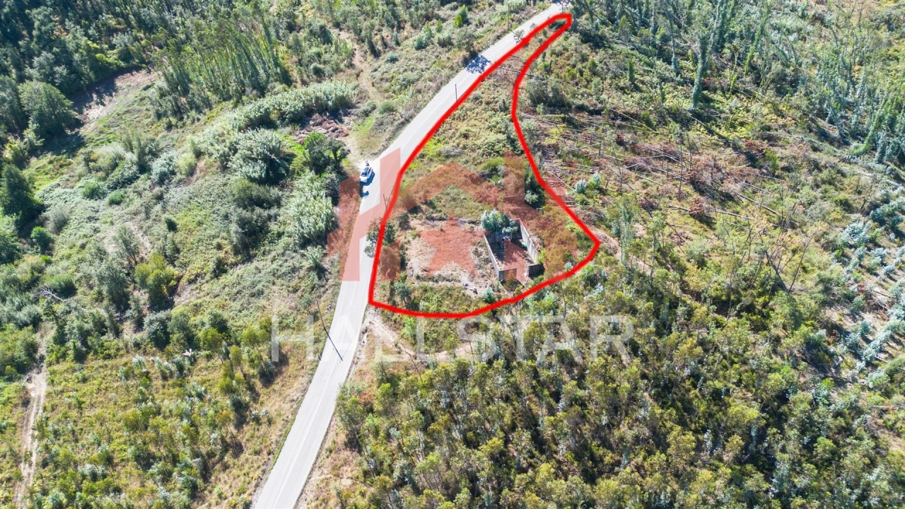 Terreno para Venda em Souto da Carpalhosa e Ortigosa Foto 11