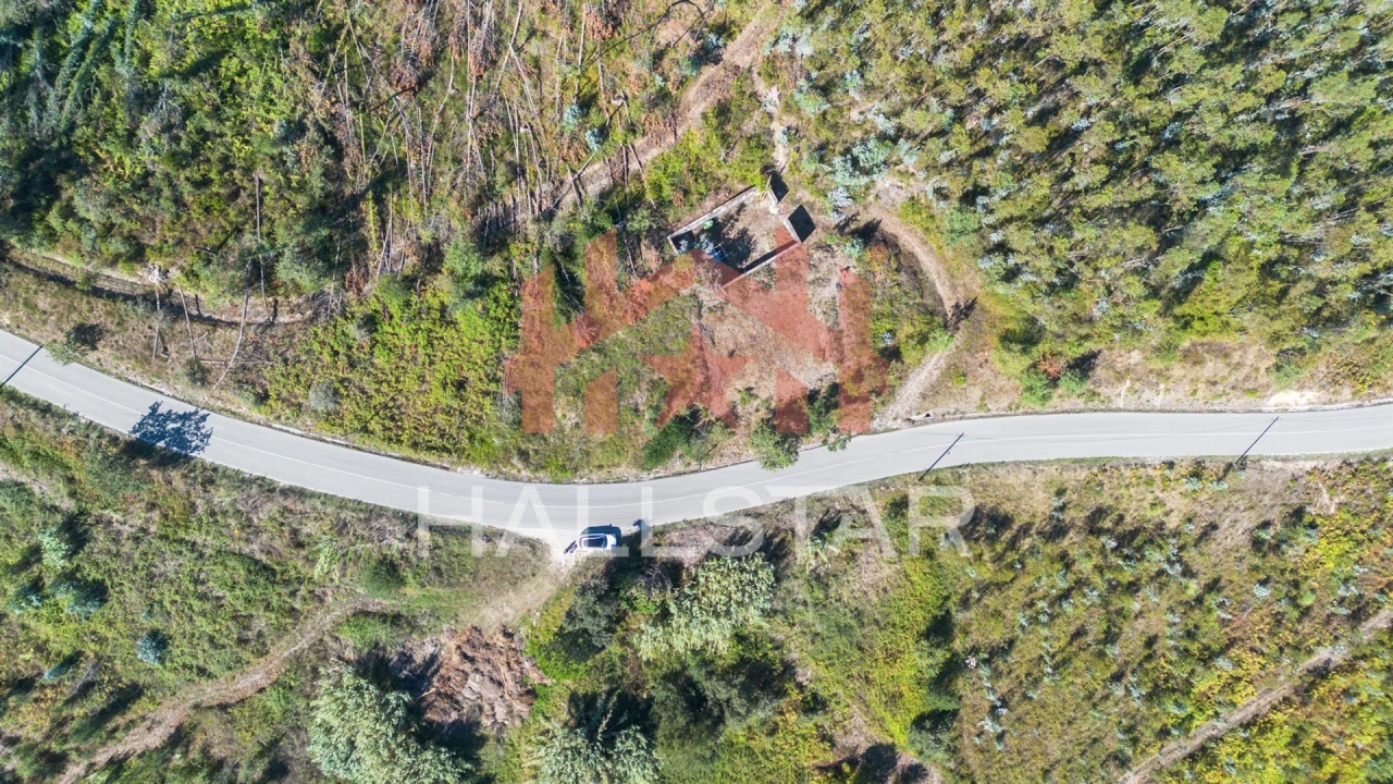 Terreno para Venda em Souto da Carpalhosa e Ortigosa Foto 22
