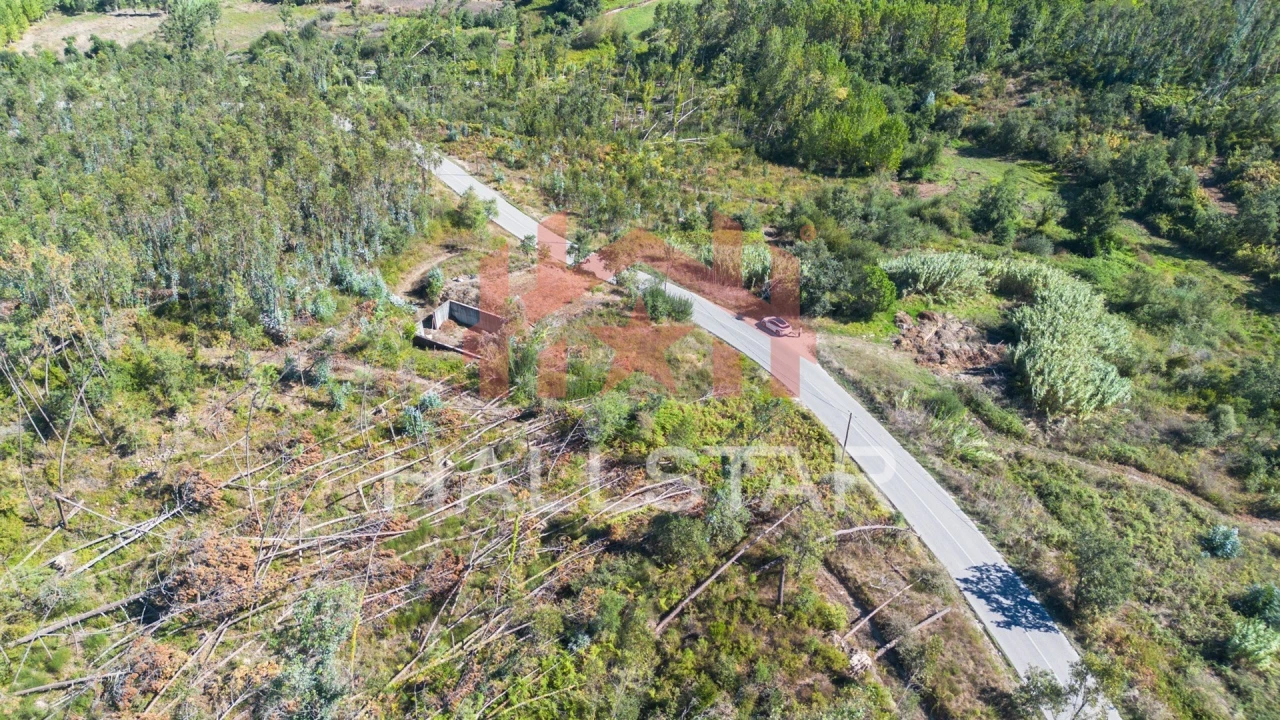 Terreno para Venda em Souto da Carpalhosa e Ortigosa Foto 16