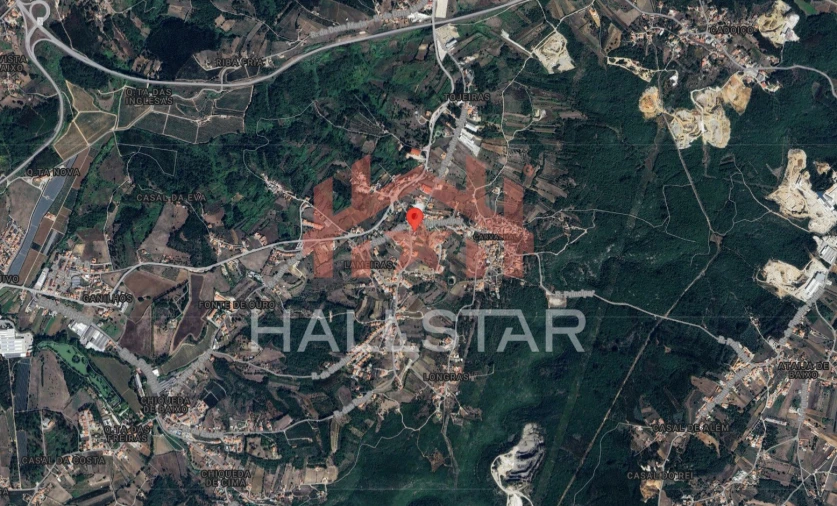 Moradia T3 para Venda em Aljubarrota Planta 1