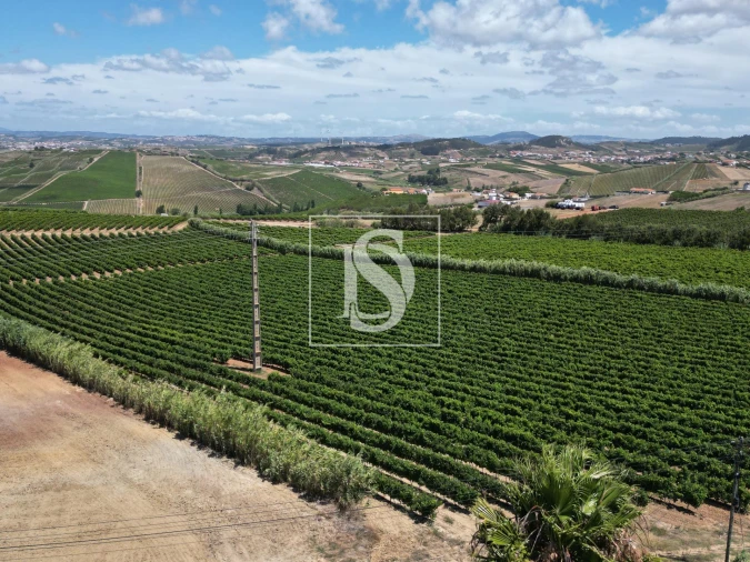 Moradia T4 para Venda em Encarnação Foto 12